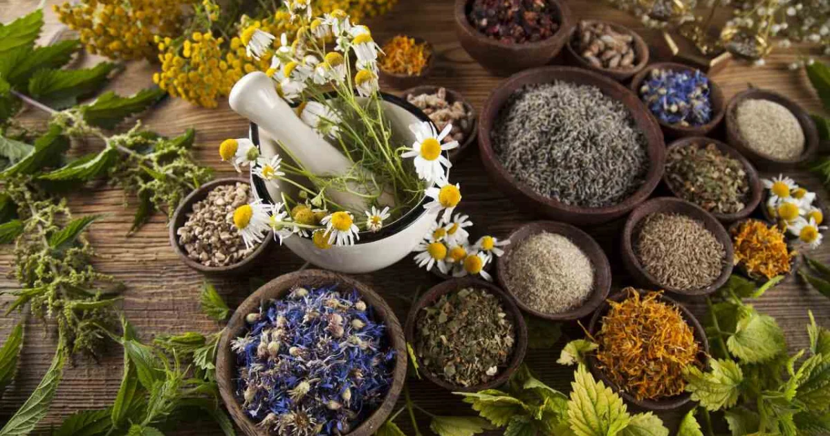 A importância do banho de ervas antes e depois de uma cerimônia de ayahuasca